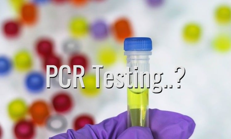新型コロナ感染症から軽快後のPCR検査について